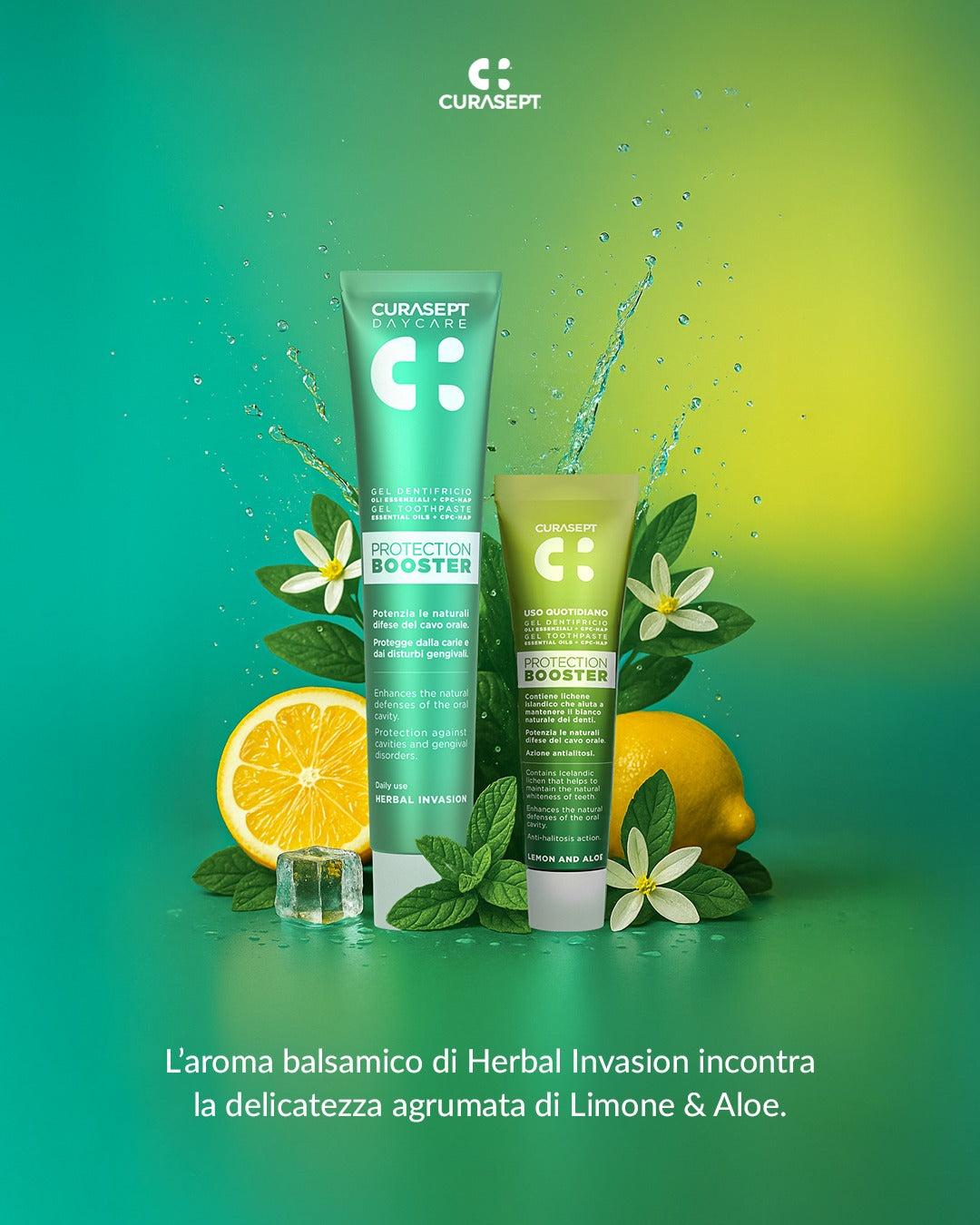 Dantų pastų rinkinys CURASEPT Botanical Garden Protection Booster, Herbal Invasion 75 ml + Limone&Aloe 20 ml