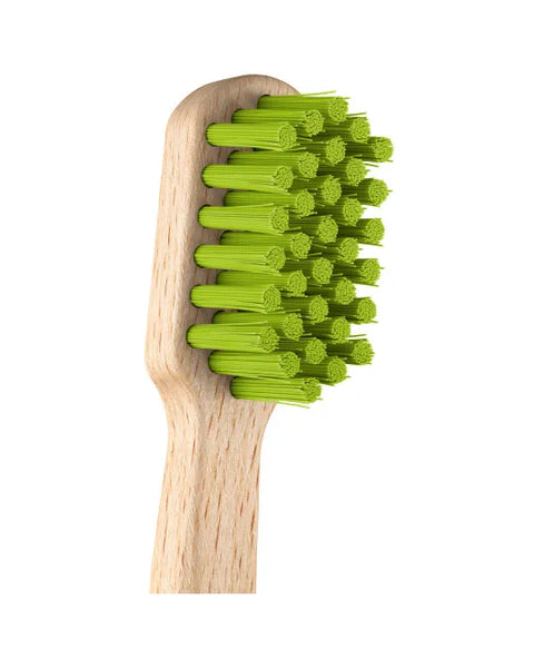 Koka zobu birste CS Wood